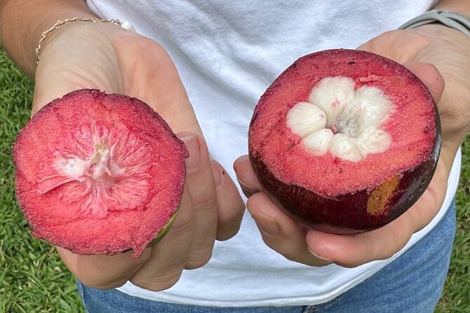 Exotic Fruit Tasting Tour in Kona - Key Points