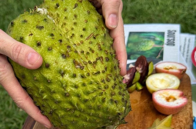 Exotic Fruit Tasting Tour in Kona - The Real Value of the Exotic Fruit Tasting Tour