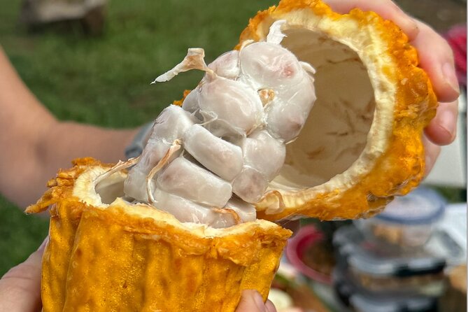 Exotic Fruit Tasting Tour in Kona - The Sum Up: A Flavorful Snapshot of Hawaii’s Agriculture