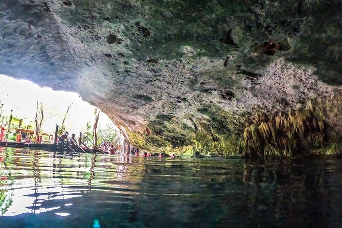 Exotik half a day tour: Cenote Cave and Swimming with Sea Turtles - Practical Details and Additional Costs