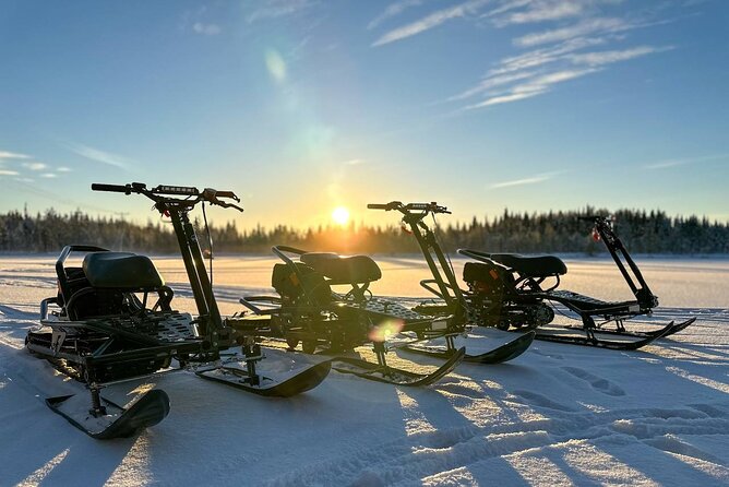 Expedition "INTO THE WILD" Safari and Lunch in Glass Igloo - Included and Optional Extras