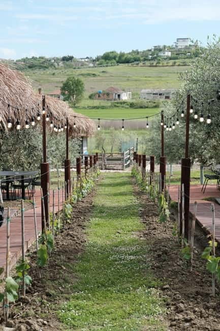 Experience Albanian Wine, daily tours from Durres - Unique Location: Abaia Winery Inside a Communist Bunker