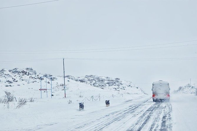 Experience Armenia - Day Trip from Tbilisi - Practical Considerations and Tour Limitations