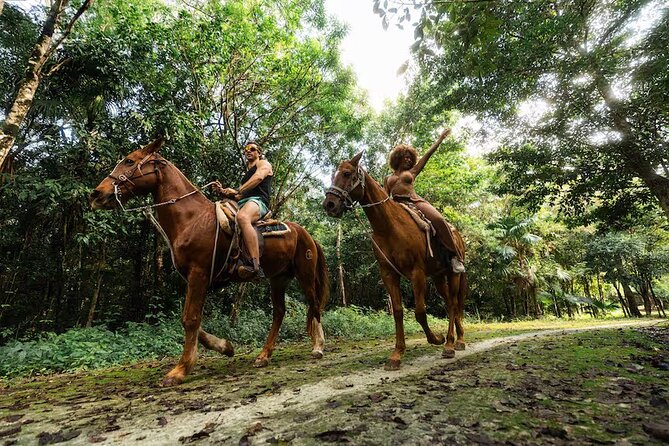 Experience ATV, Ziplines, Cenote and Horses Ride in Cancún - Thrilling Jungle Adventure in Cancun for $43
