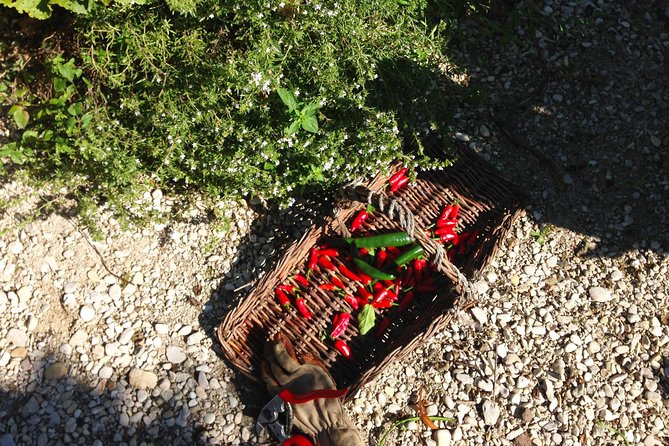 Experience Authentic Belgian Cuisine: Cooking Lesson and Meal with a Ghent Local - What Makes This Tour Stand Out