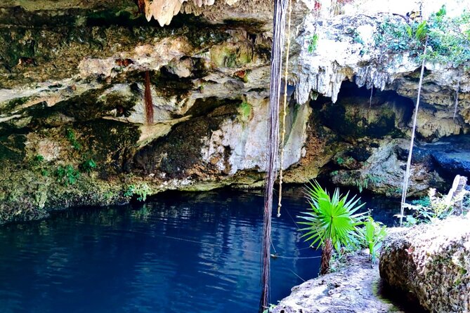 Experience Cancun's Hidden Gems, Mayan museum, cenote & Market 23 - Savoring Traditional Cochinita Tacos