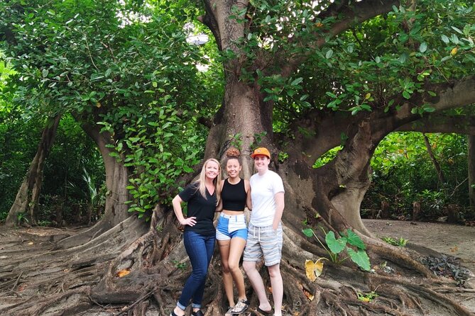 Experience Cancun's Hidden Gems, Mayan museum, cenote & Market 23 - Shopping at Mercado 28