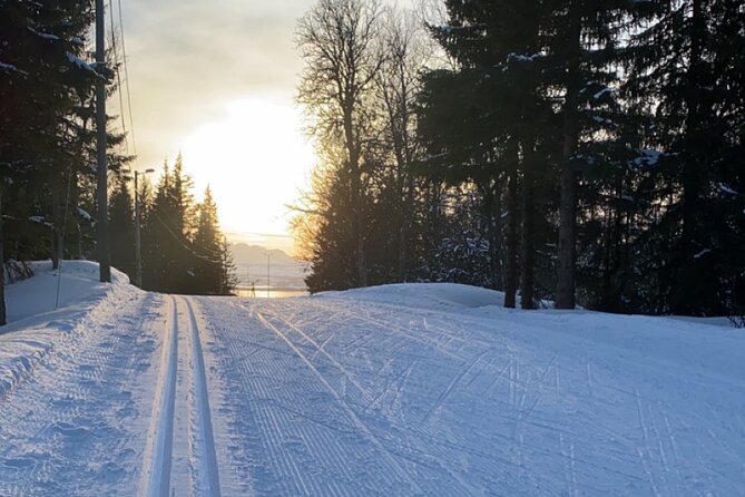 Experience Cross-Country Adventure in Tromsø - Experience Cross-Country Skiing Near Tromsø Fjords and Mountains