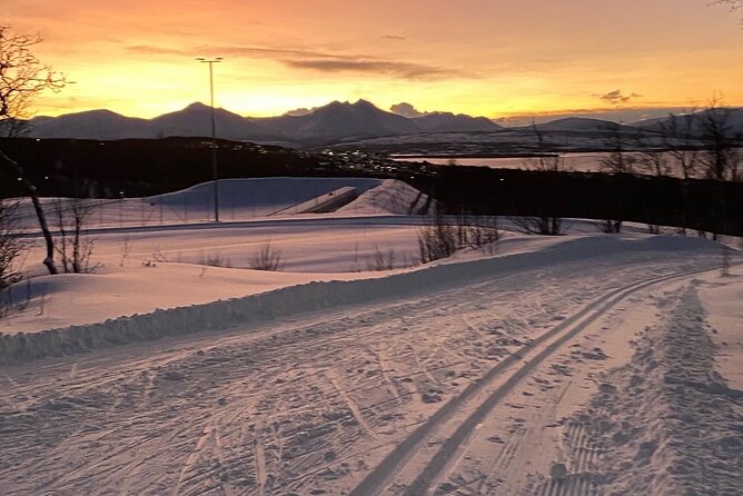 Experience Cross-Country Adventure in Tromsø - Key Points