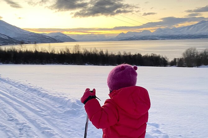 Experience Cross-Country Adventure in Tromsø - Scenic Rest Break with Norwegian Treats and Warm Drinks