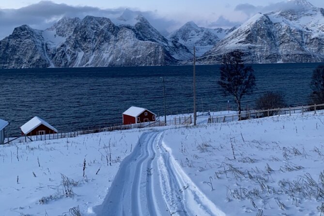 Experience Cross-Country Adventure in Tromsø - Weather Considerations and Cancellation Policy