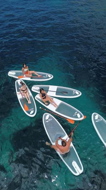 Experience Crystal paddle surf Tours + snorkel - Key Points
