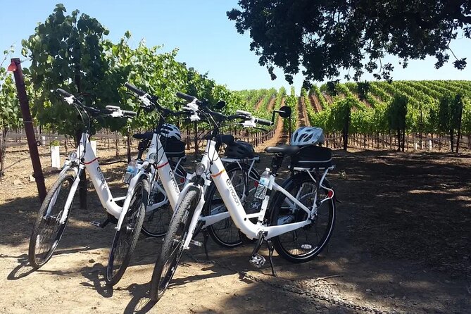Experience E-Bike with Wine Tasting Activity - Booking and Cancellation Policies