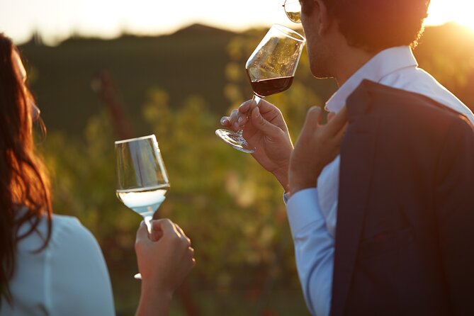 Experience Emilian Wines at Bologna Vineyard Vista - Discover Emilia-Romagna Wines at Bologna Vineyard Vista