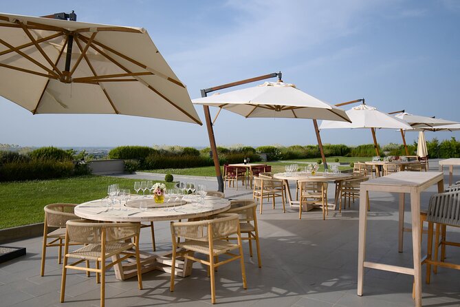 Experience Emilian Wines at Bologna Vineyard Vista - Who Will Enjoy Bologna Vineyard Vista?