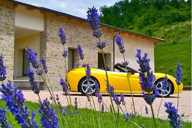 Experience PLUS program - What Sets This Tour Apart from Others