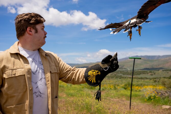 Experience Raptors and Falconry in Reno - Meeting Point and Logistics in Reno
