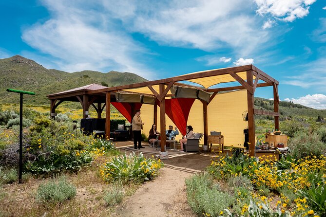 Experience Raptors and Falconry in Reno - The Expertise of Kathleen: Guiding with Passion and Knowledge