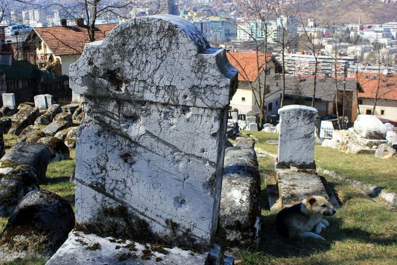 Experience Sarajevo: Spiritual Resistance during the Siege - Final Thoughts on the Sarajevo Siege Tour