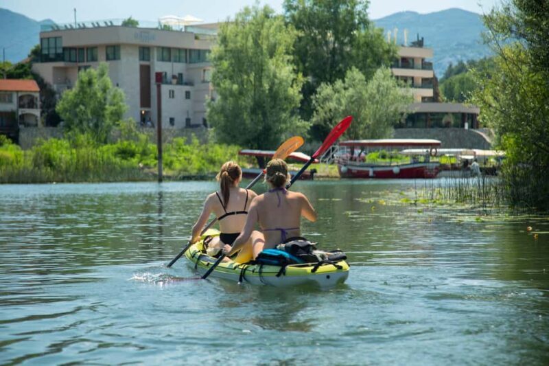 Experience Skadar Lake in 1h! - What to Expect During the Kayak Tour