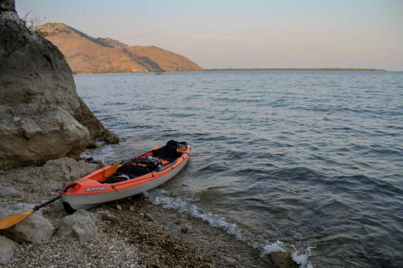 Experience Skadar Lake in 1h! - Birdwatching and Natural Highlights