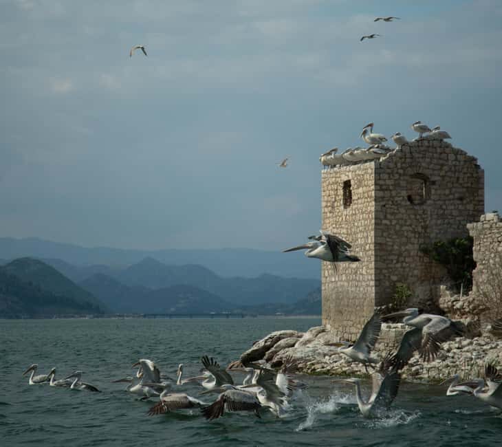 Experience Skadar Lake in 1h! - Inclusion and Safety Measures