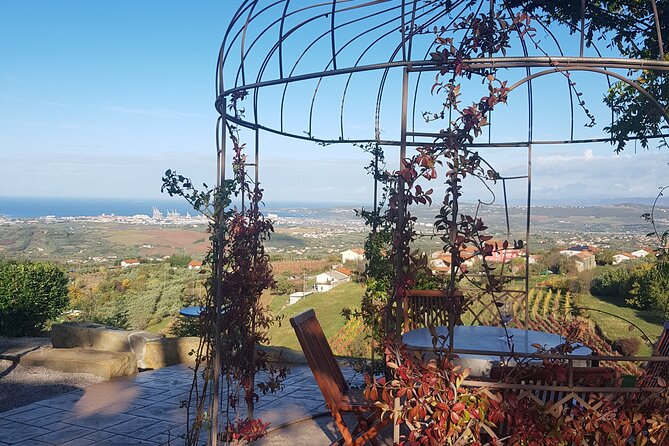 Experience Slovenian Coast line with Wine Tasting from Trieste - Piran’s Medieval Charm and Coastal Views