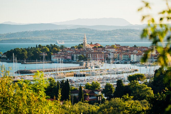 Experience Slovenian Coast line with Wine Tasting from Trieste - Wine Tasting in Marezige: The Final Highlight