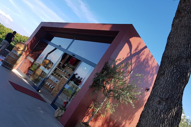 Experience Slovenian Coast line with Wine Tasting from Trieste - Guide Expertise and Local Knowledge