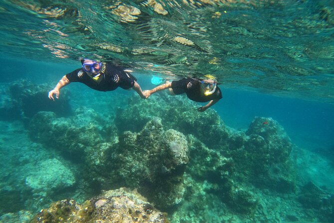 Experience Snorkelling in Puerto Del Carmen, Lanzarote - Key Points