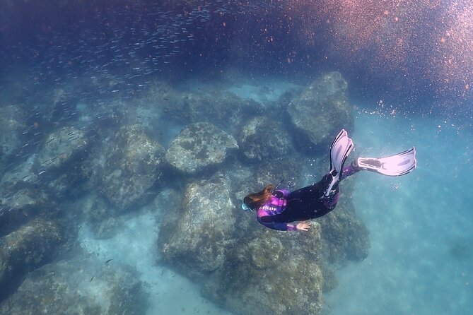 Experience Snorkelling in Puerto Del Carmen, Lanzarote - Meeting at Manta Diving Lanzarote in Puerto del Carmen
