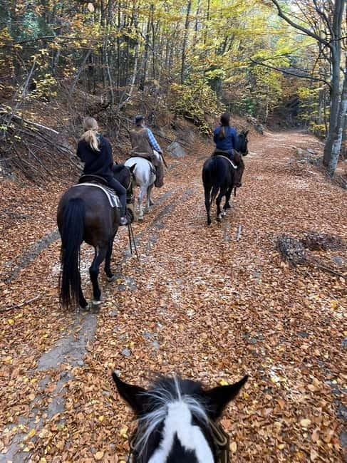 Experience Sofia - nature, history, horse riding and SPA - Final Thoughts on the Experience Sofia Tour