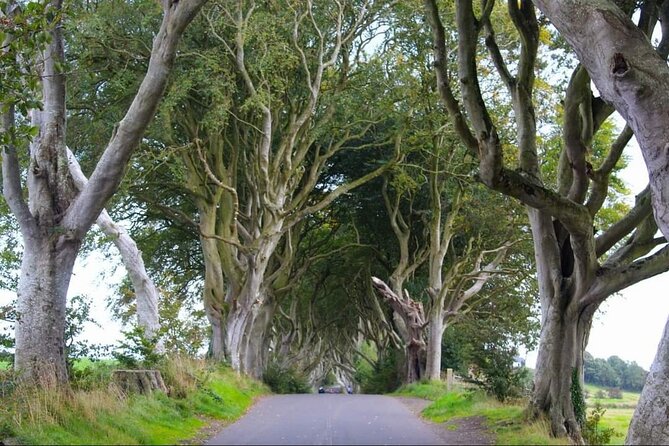 Experience the Antrim Coast and the Land of Giants - Private Tour - Discovering Dunluce Castle’s Ruins