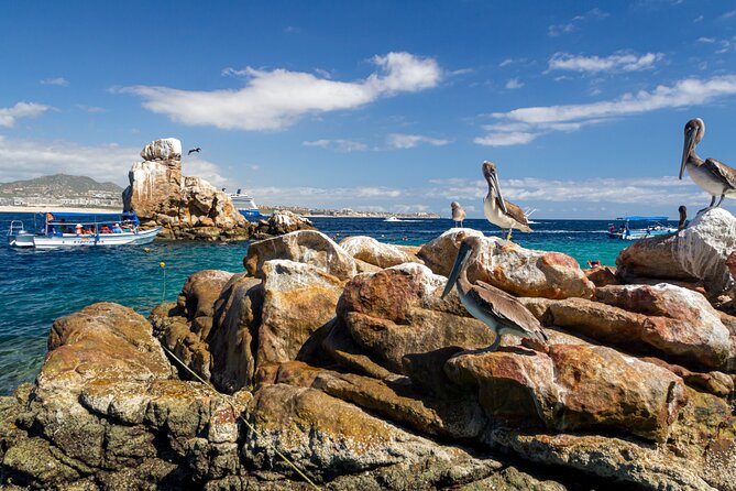 Experience the Clear Boat adventure & Cabo San Lucas City Tour - Exploring Cabo San Lucas Downtown: Main Square, Church, and Museum
