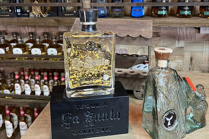 Experience the Clear Boat adventure & Cabo San Lucas City Tour - Practical Details and Tips