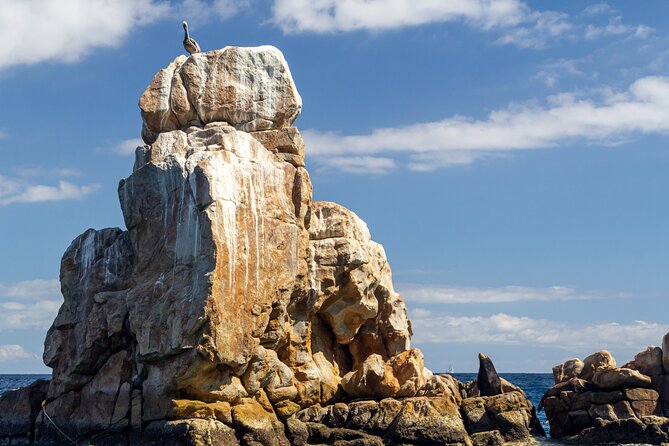 Experience the Clear Boat adventure & Cabo San Lucas City Tour - Final Thoughts on the Cabo San Lucas City & Clear Boat Tour