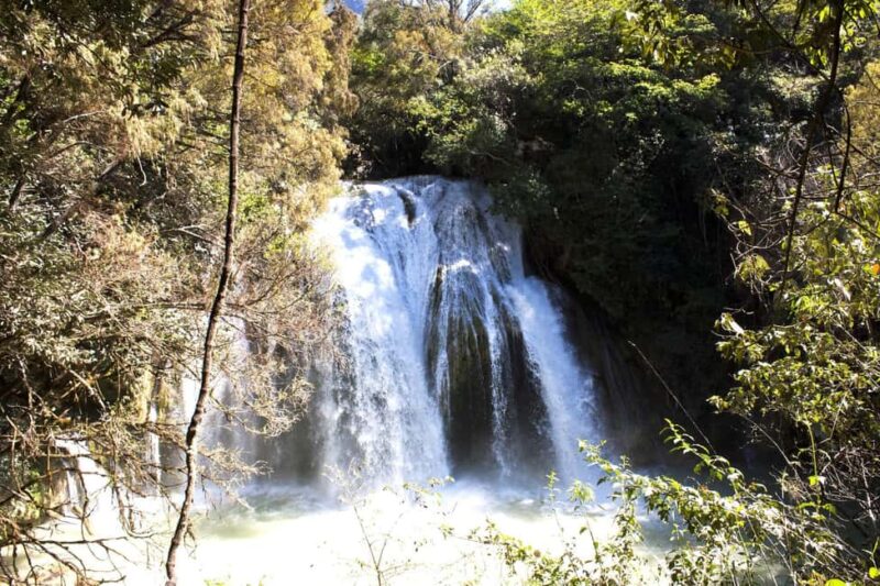 Experience the Magic of Chiapas: 3-Day Tour - Final Thoughts on the Chiapas 3-Day Tour