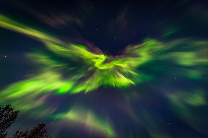 Experience the majestic Auroras Kiruna-Abisko & lodge dinner - Photographs and Lasting Memories