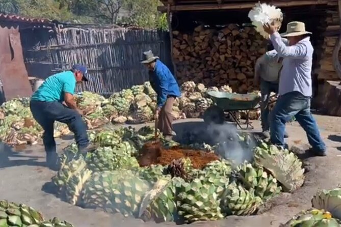 Experience the Mezcal Tour in Oaxaca - Exploring the Largest Mezcal Distillery on Oaxacas Outskirts