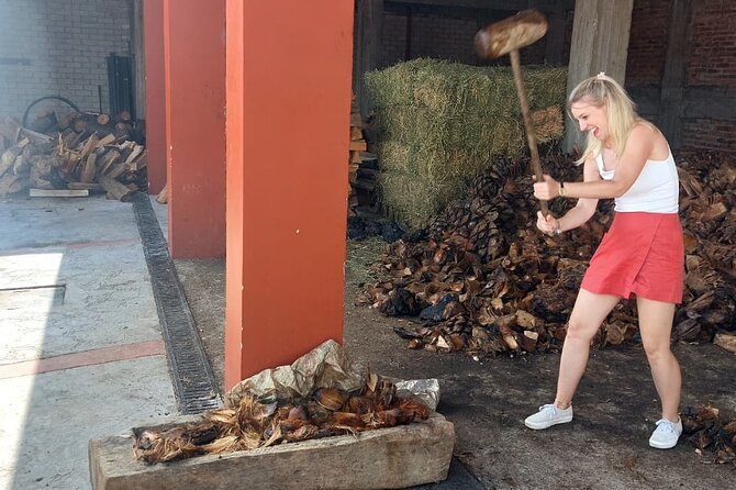 Experience the Mezcal Tour in Oaxaca - Customer Satisfaction and Review Highlights