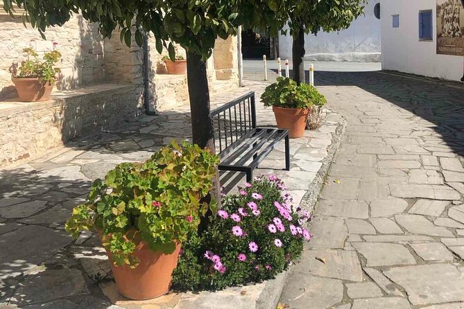 Experience Troodos Gems Shared Tour - Wandering Through the Picturesque Laneia Village
