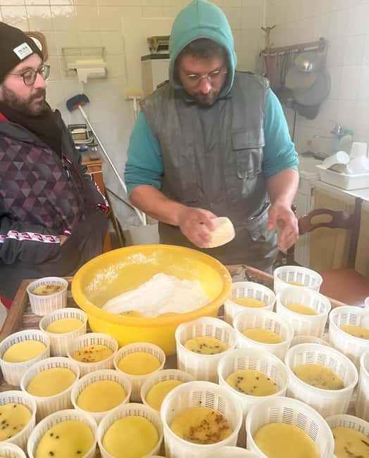 Experience with Girgentan goats in Agrigento - The Sum Up: A Genuine Taste of Sicilian Life in Agrigento