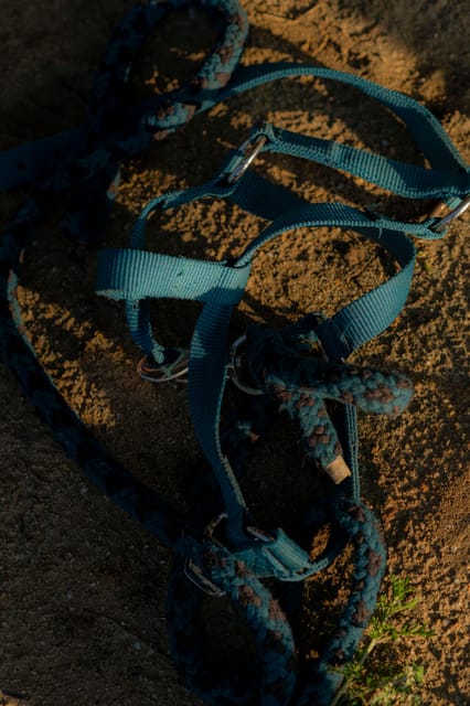 Experiential activity with horses: an experience in connection - Flexibility and Booking Options