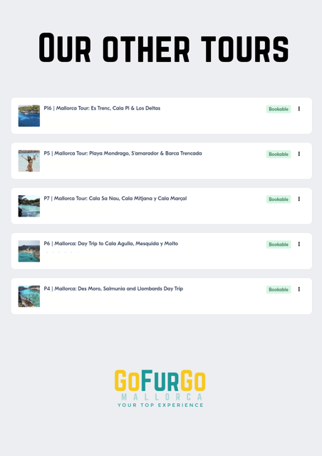 Experinence in Mondrago /S'amarador / Trencada Snorkel y SUP - Logistical Details: Pickup, Group Size, and Equipment