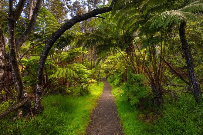 Expert Led Private Guided Tour Hawaii Volcanoes National Park - Hawaii Volcanoes National Parks Unique Landscape and Customizable Tour Experience