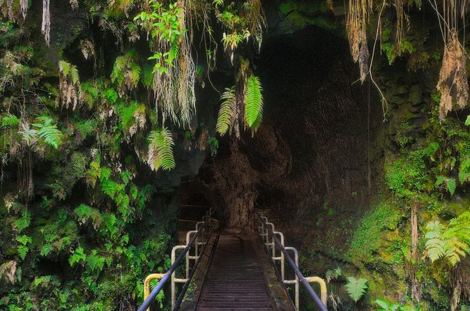 Expert Led Private Guided Tour Hawaii Volcanoes National Park - The Heart of the Volcanoes: Kilauea