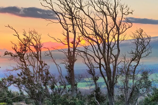 Expert Led Private Guided Tour Hawaii Volcanoes National Park - Logistics: Meeting Point and Group Size