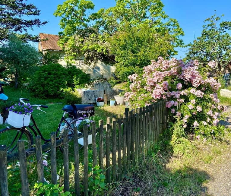 Exploration Oenologique au Château Labrie St Emilion GC - An Authentic French Wine Experience at Château Labrie