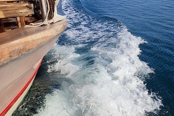 Exploration of the Istrian Coast Pore Rovinj Lim fjord and Vrsar - Scenic Views and Wildlife Encounters