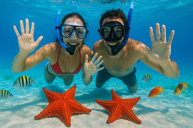 Exploration to El Cielo and Reefs: Live up close with stars - Explore the Vibrant Reefs of Cozumel for Just $29